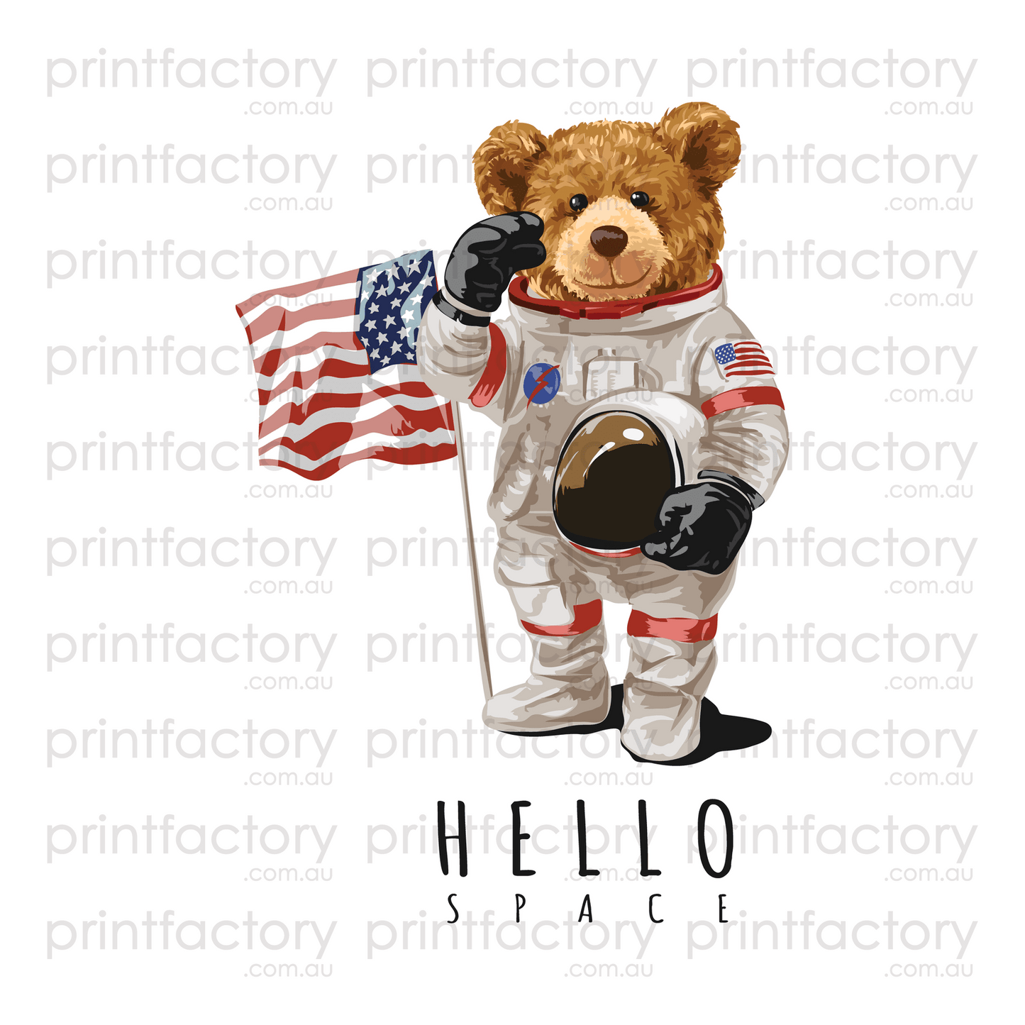 Astronaut Bear