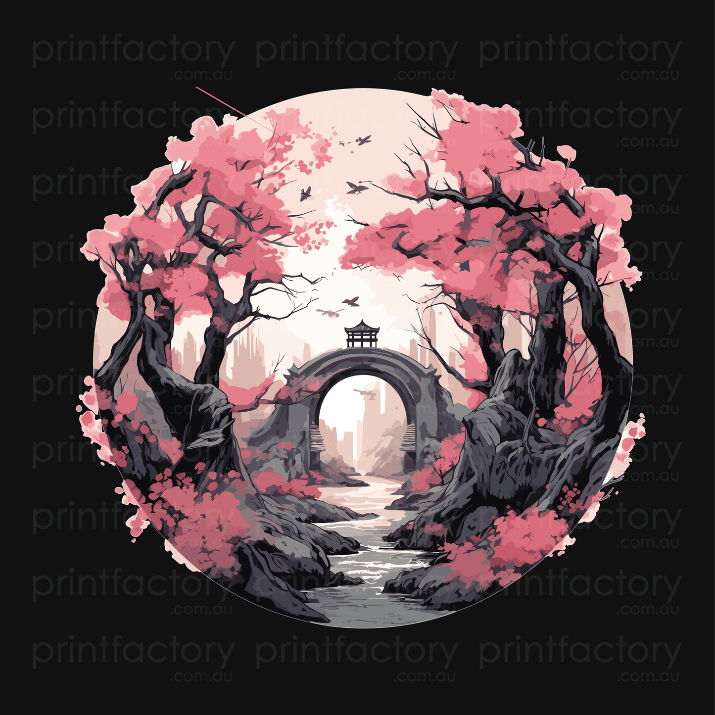 Cherry Blossoms