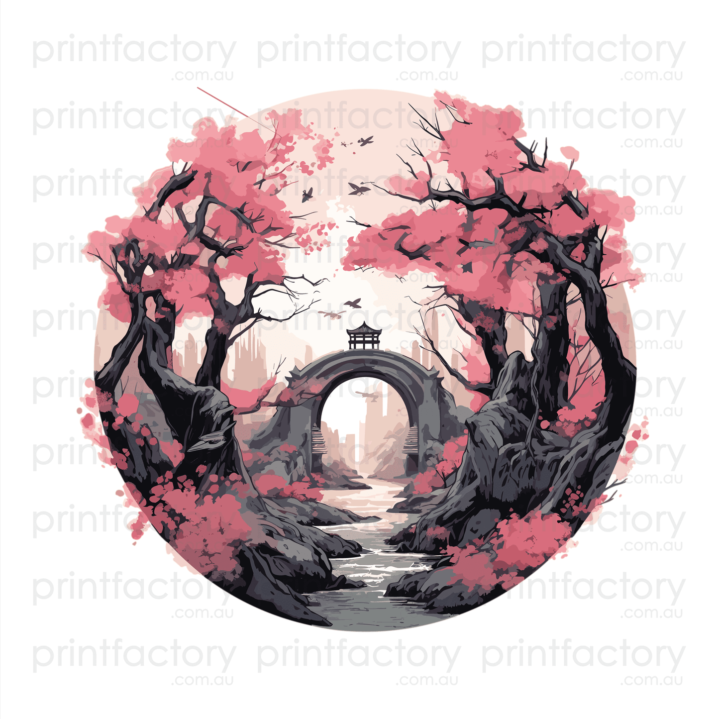 Cherry Blossoms