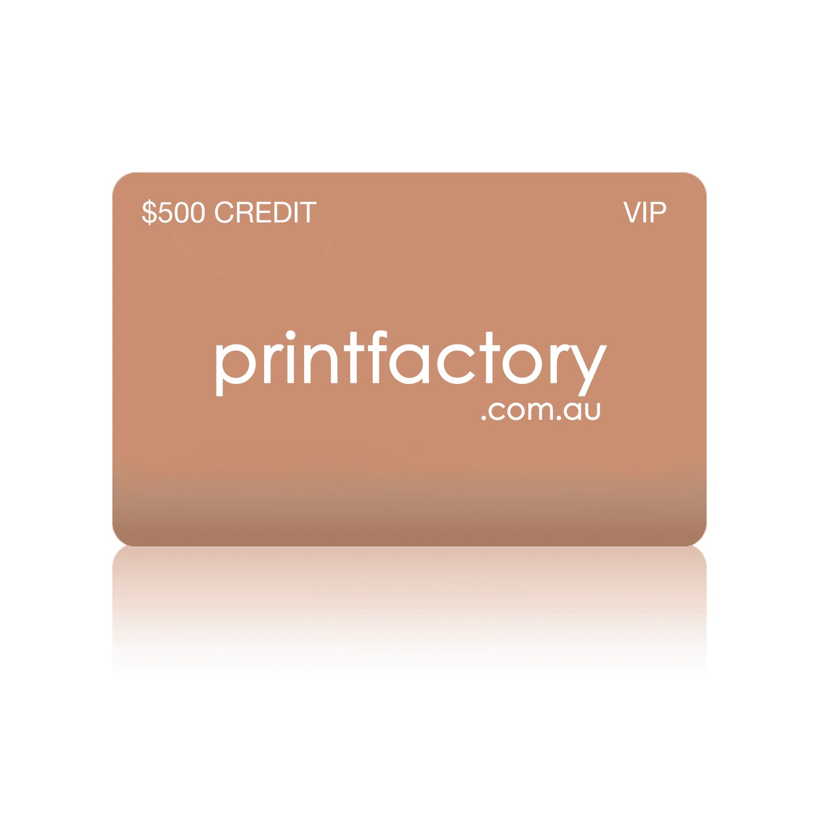 $500 CREDIT - BRONZE VIP